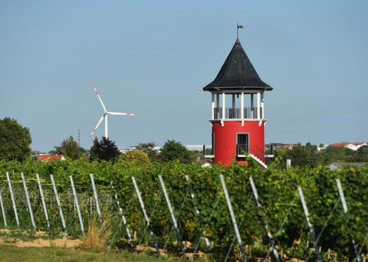 Weinbergsturm © Carsten Costard