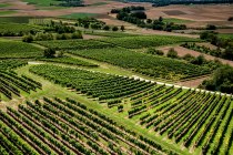 Klein-Winternheimer Geiersh&ouml;lle