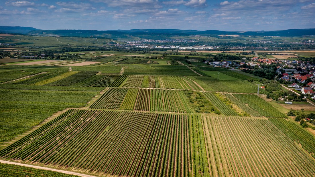 Ockenheimer Hockenm&uuml;hle