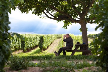 Weingut Fred Emrich_Weinberg, &copy; Weingut Fred Emrich