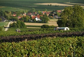 Rheinhessen Mitte