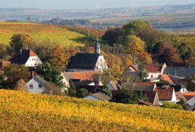 Ensheim &copy; Samuel Henrich