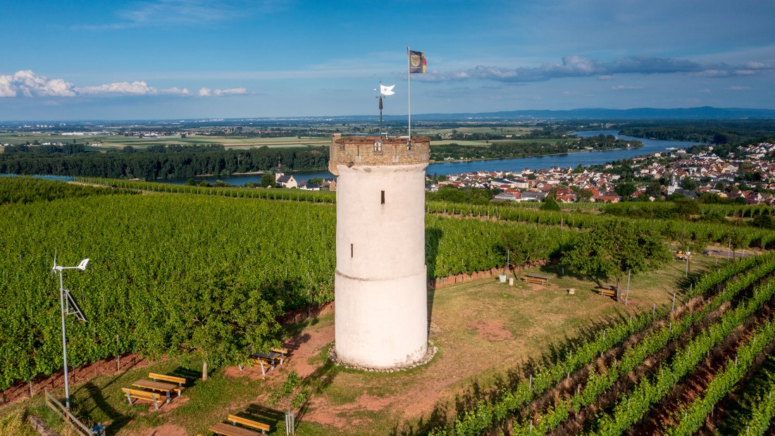 Niersteiner &Ouml;lberg