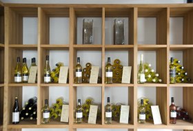 Vinothek 1, &copy; Ullrich Knapp