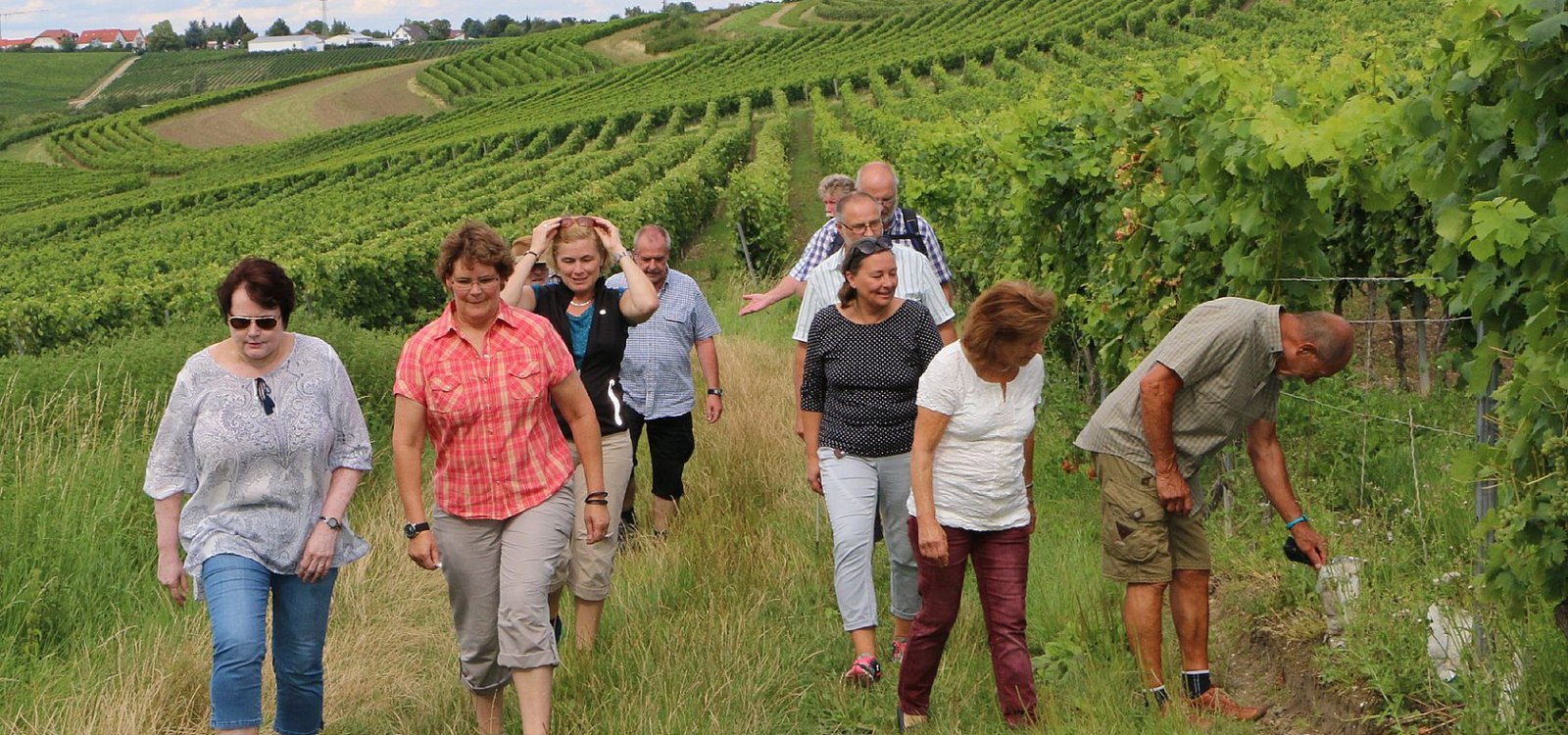 Weinbergsspaziergang, &copy; Angelika Friedrich