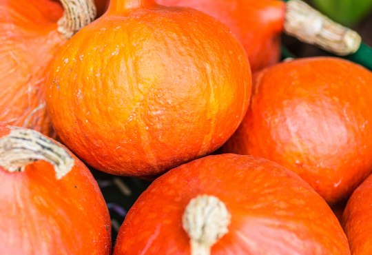 Herbst