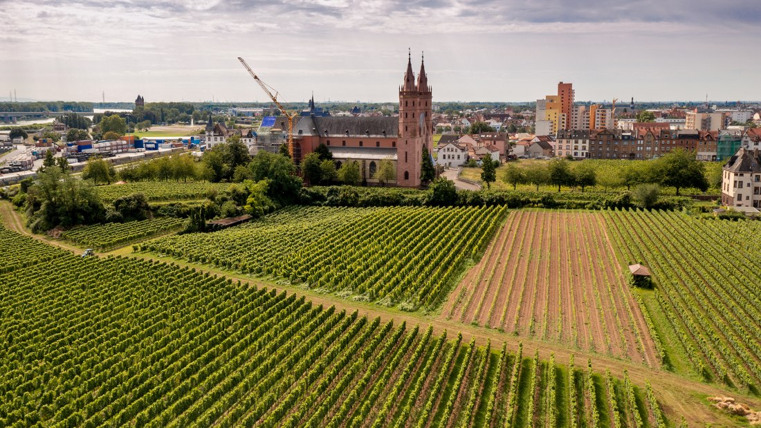 Wormser Liebfrauenstift Kirchenstück