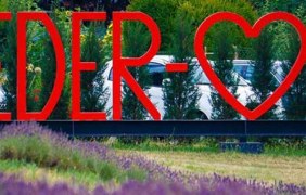 Schriftzug Nieder-Olm