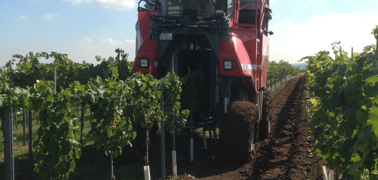 Vollernter Ernte, © Weinmanu