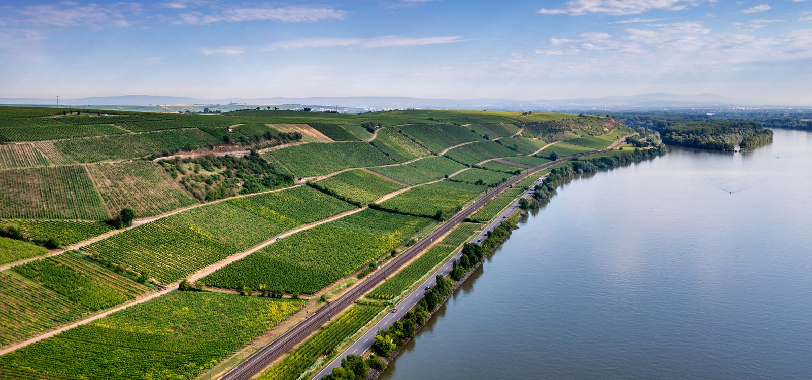 Niersteiner Pettenthal