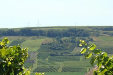 Kloppberg, &copy; Verbandsgemeinde Wonnegau / Michael Thier
