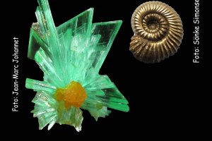 Mineralientage 2025, © Ruth Göbel