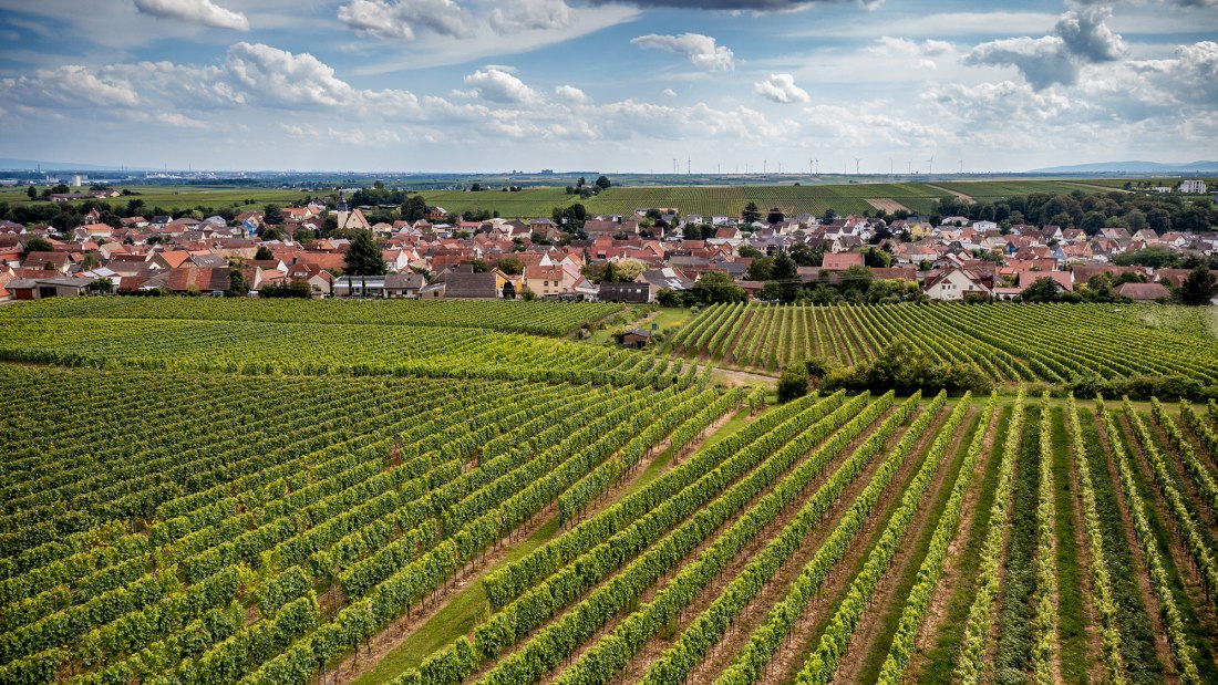 Bechtheimer Hasensprung