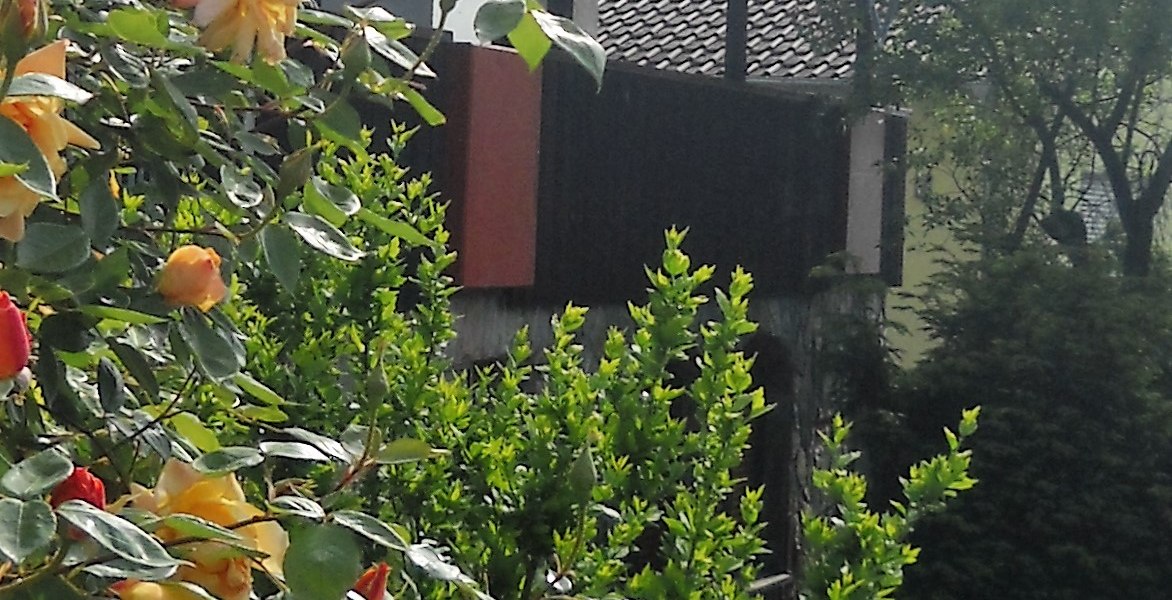 Weingut Blees-Wallich_Au&szlig;en, &copy; Weingut Blees-Wallich