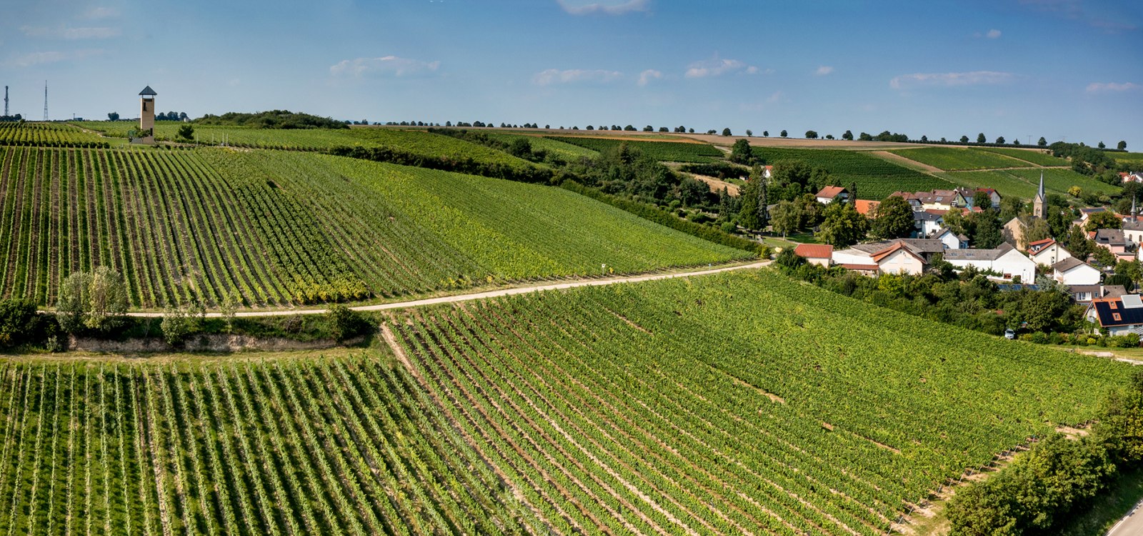 Vendersheimer Sonnenberg