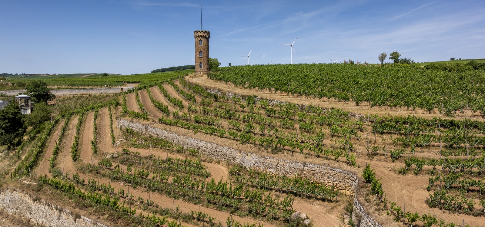 Weinheimer Heiliger Blutberg, © Torsten Silz