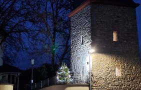 Schiefster Turm der Welt mit Tannenbaum