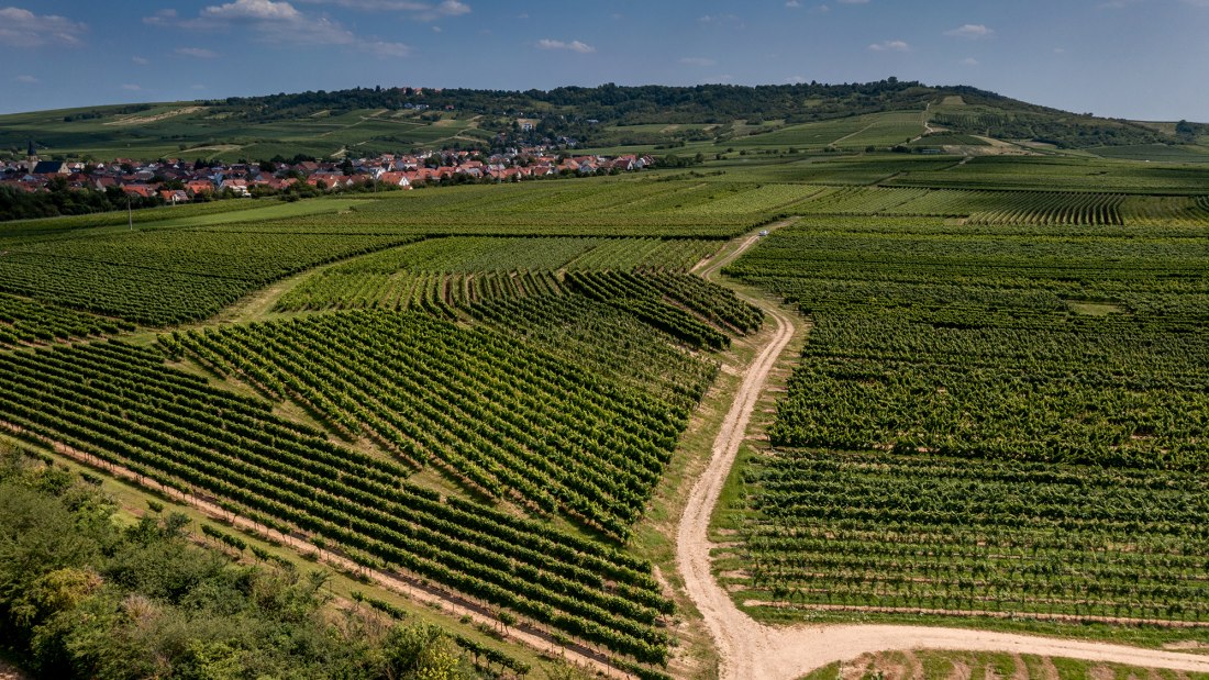 Ockenheimer Hockenm&uuml;hle