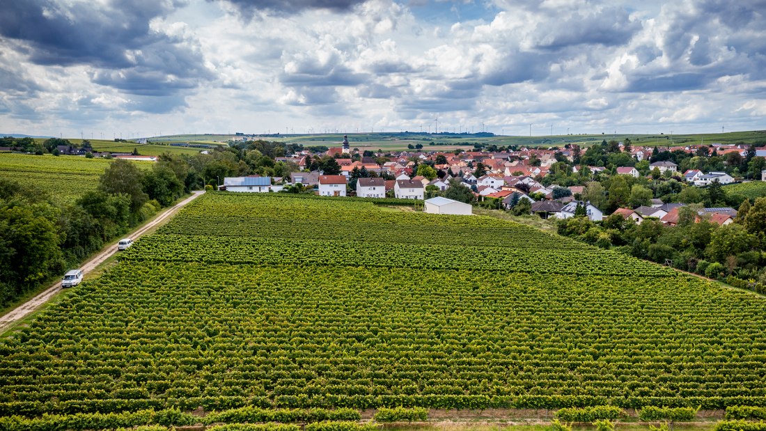 Bechtheimer Stein